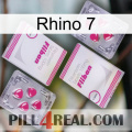 Rhino 7 33